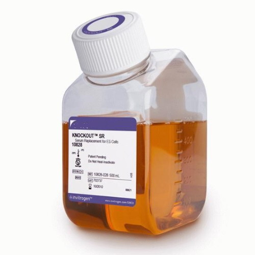 賽默飛Thermo KnockOut 10828028血清替代物10828010