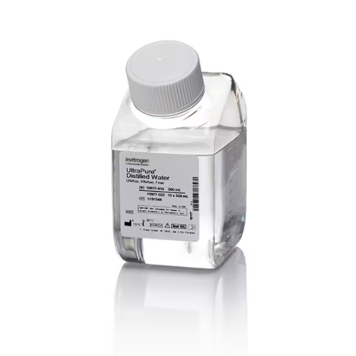 Thermo賽默飛UltraPure 無DNase/RNase 10977015蒸餾水10977023