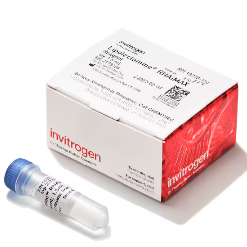 賽默飛Thermo Lipofectamine RNAiMAX 轉染試劑13778150