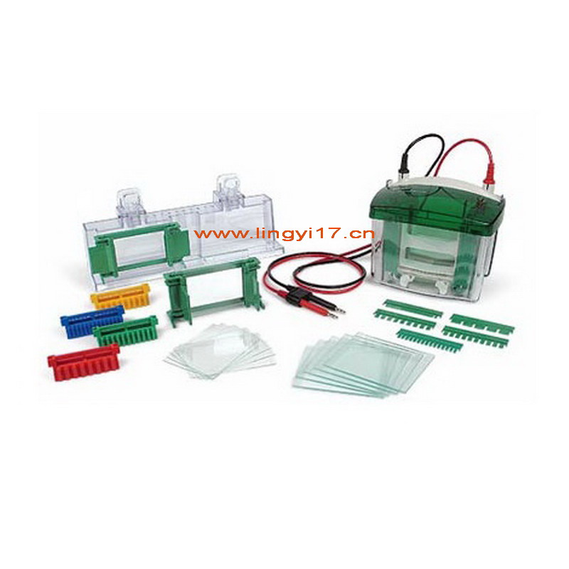 Bio-rad美國(guó)伯樂(lè)Mini-PROTEAN Tetra Cell小型垂直電泳槽，1-2塊，厚0.75mm凝膠1658002