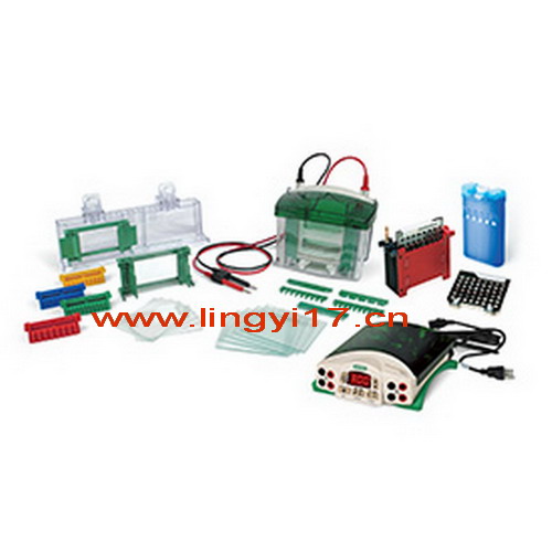 美國伯樂Bio-Rad小型垂直電泳轉(zhuǎn)印系統(tǒng)（電泳槽+轉(zhuǎn)印芯+基礎(chǔ)電源）1658033