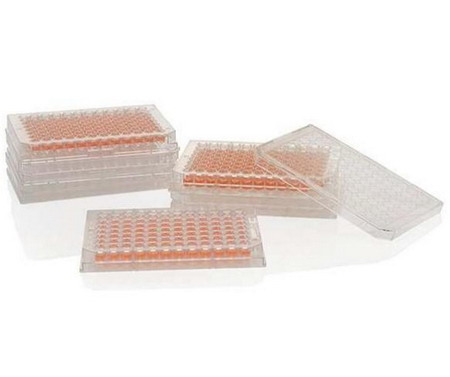 美國NUNC  96孔細(xì)胞培養(yǎng)板167008