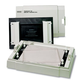 Trans-Blot SD伯樂半干轉(zhuǎn)印