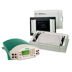 美國伯樂Trans-Blot SD半干轉(zhuǎn)印1703940