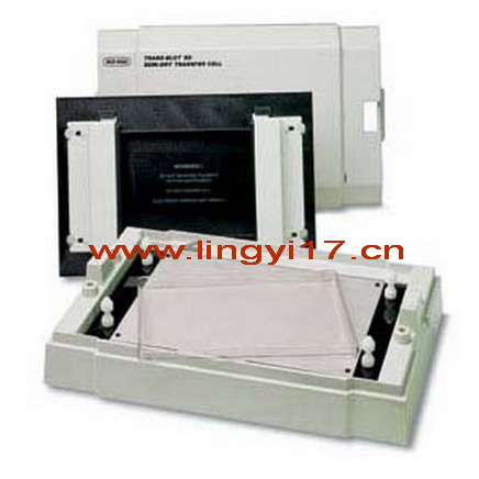 美國BIO-RAD Trans-Blot SD半干轉(zhuǎn)印系統(tǒng)轉(zhuǎn)印槽1703940