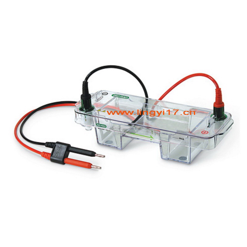 Bio-rad美國伯樂小型水平電泳槽Mini-Sub Cell GT Cell1704467