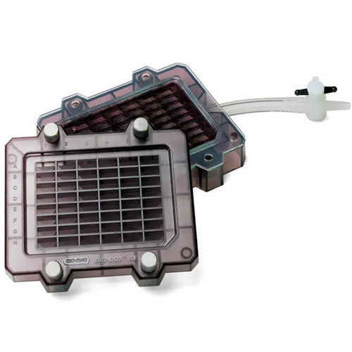 美國Bio-rad伯樂 Bio-Dot Apparatus 微孔過濾儀1706546 1703938