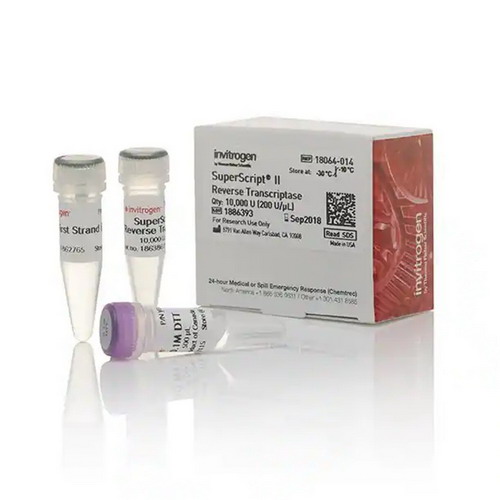 賽默飛Invitrogen SuperScript II 逆轉(zhuǎn)錄酶18064014，18064071，18064022