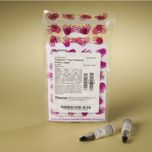 Thermo賽默飛PageRuler Plus 26620 預(yù)染蛋白26619