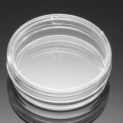 Falcon 35mm BD易握型細(xì)胞培養(yǎng)皿353001