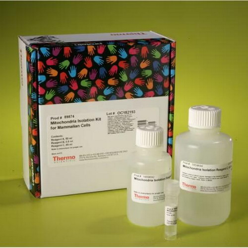 美國(guó)賽默飛 Thermo培養(yǎng)細(xì)胞線粒體分離試劑盒89874