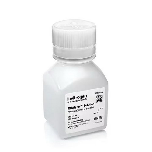 Thermo賽默飛RNAlater  AM7022 穩(wěn)定液AM7020
