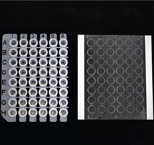 PCR熒光定量膜 壓敏膜 96孔和 48孔 L200301