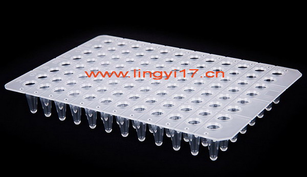 0.1ml無裙邊96孔PCR板LB1000，透明，15板/盒，10盒/箱，用于Bio-Rad iQ5，ABI 7500fast