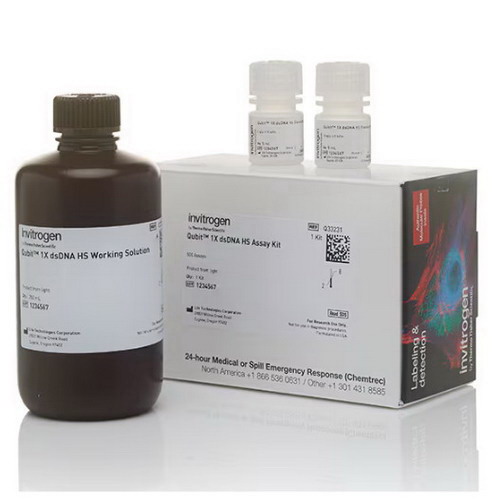 熒光計Qubit 1X dsDNA 高靈敏度 HS)和寬范圍 BR)定量試劑盒Q33231