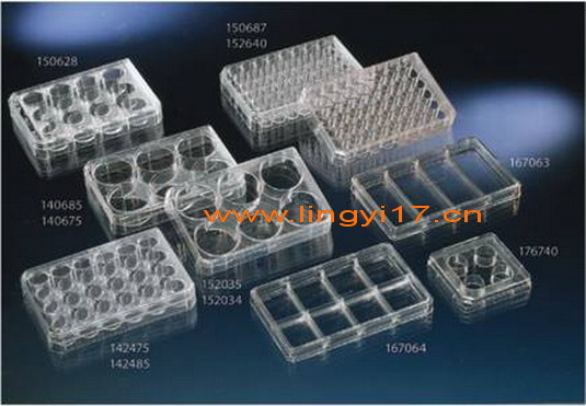 丹麥Nunc多孔細(xì)胞培養(yǎng)板